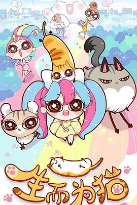 西北seo排名哪个便宜